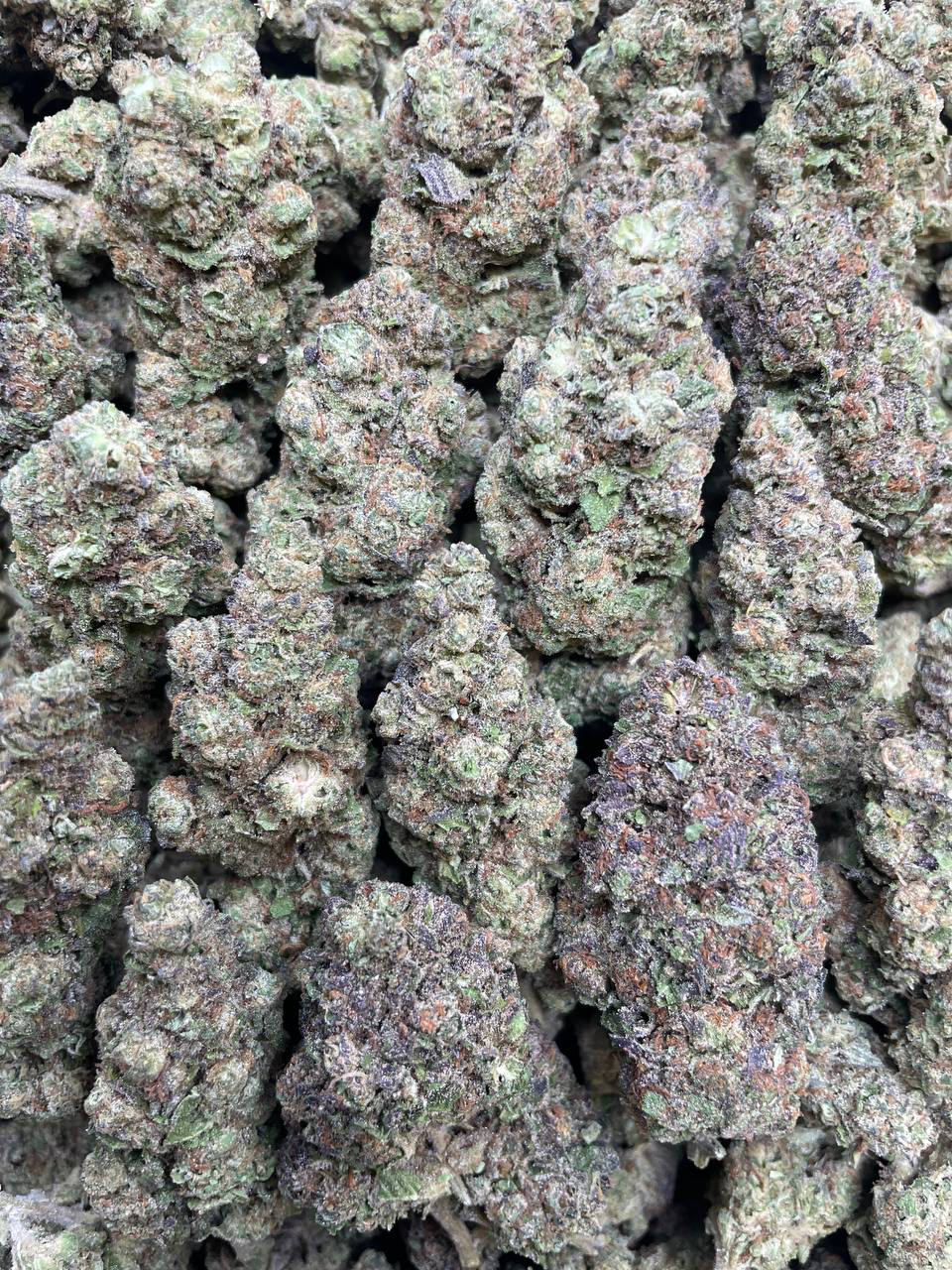 Cake Badder strain
